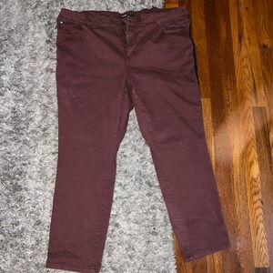 Brick Red Skinny Jeans with Black Stripe-Final Price